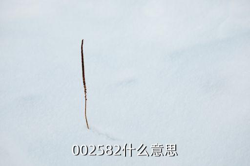 002582什么意思