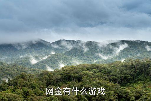 网金有什么游戏