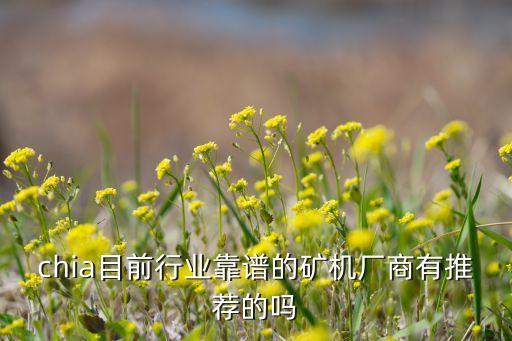chia目前行业靠谱的矿机厂商有推荐的吗
