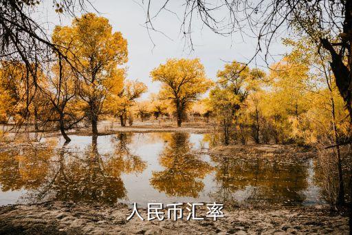 人民币汇率
