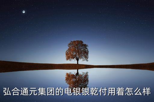 弘合通元集团的电银银乾付用着怎么样