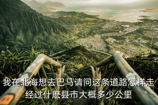 我在北海想去巴马请问这条道路怎样走经过什麽县市大概多少公里