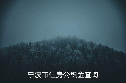 宁波市住房公积金查询