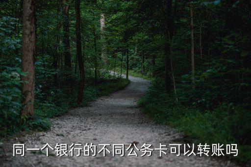 同一个银行的不同公务卡可以转账吗