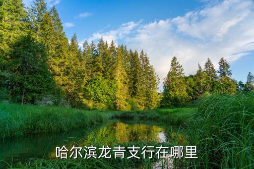 哈尔滨龙青支行在哪里