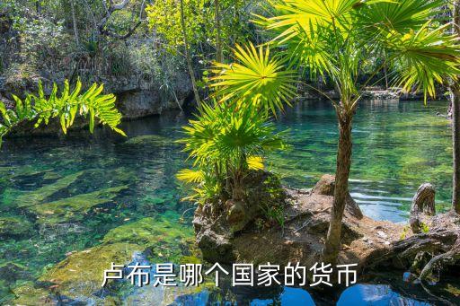 卢布是哪个国家的货币