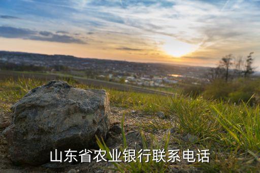 山东省农业银行联系电话