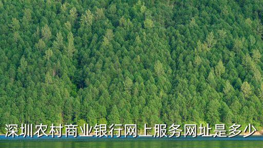 深圳农商行网上银行，深圳农村商业银行可以开通网上银行吗