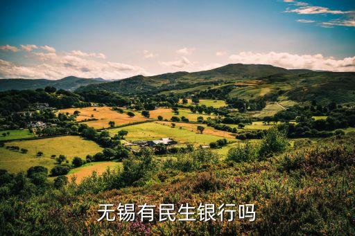 无锡有民生银行吗