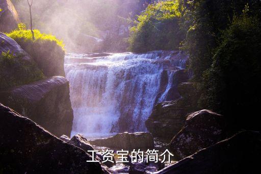 工资宝的简介