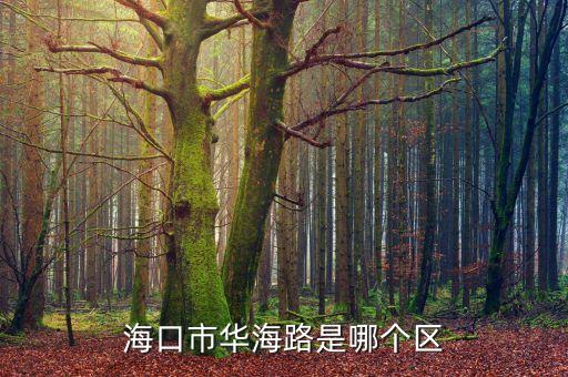 海口市华海路是哪个区