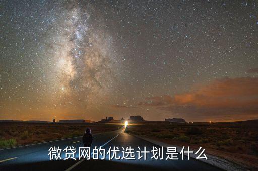 微贷网的优选计划是什么