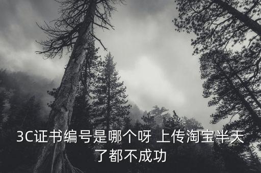 3c认证证书编号，3C证书编号是哪个呀 上传淘宝半天了都不成功