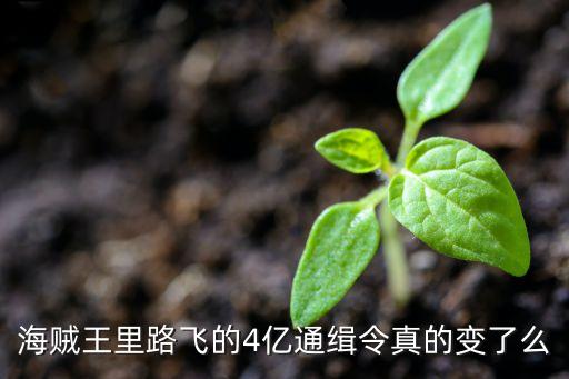 海贼王里路飞的4亿通缉令真的变了么