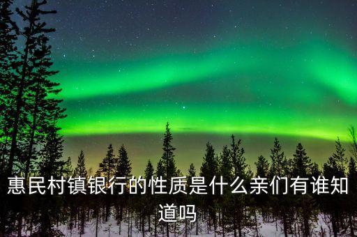惠民村镇银行的性质是什么亲们有谁知道吗