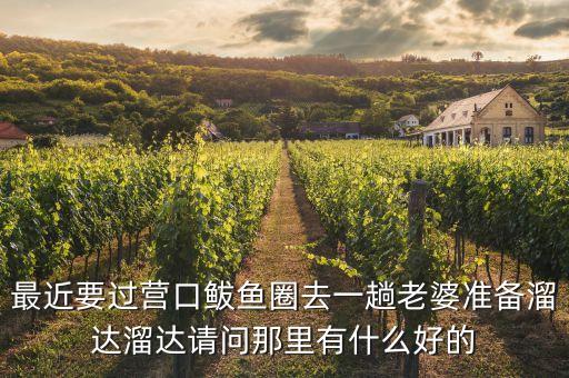 最近要过营口鲅鱼圈去一趟老婆准备溜达溜达请问那里有什么好的