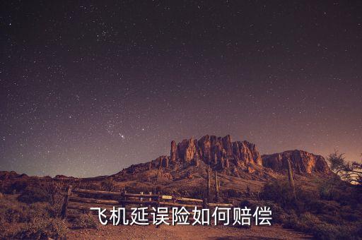 飞机延误险如何赔偿