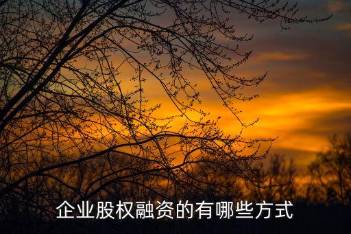 企业股权融资的有哪些方式