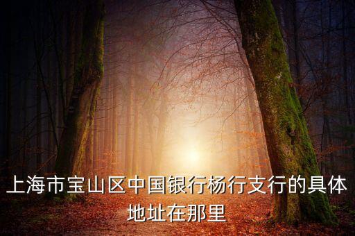 杨行，帮忙设计个签名名字叫杨行