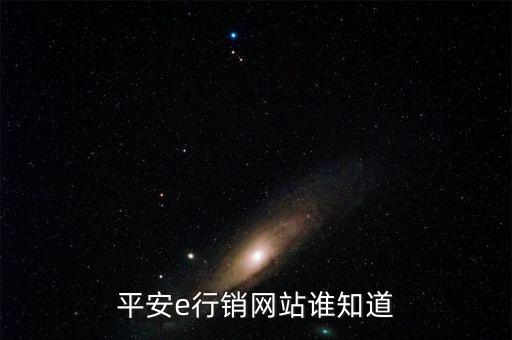 平安e行销网站谁知道