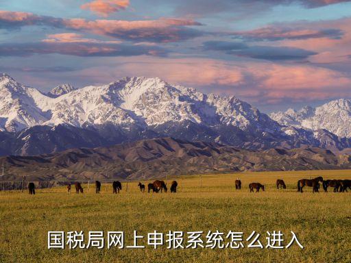 国税局网上申报系统怎么进入