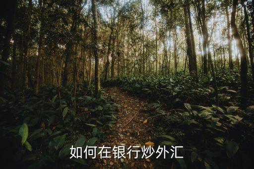 如何在银行炒外汇