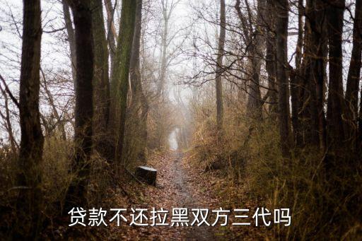 贷款不还拉黑双方三代吗
