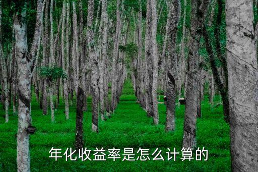 年化收益率是怎么计算的