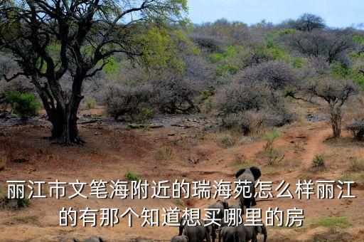 丽江市文笔海附近的瑞海苑怎么样丽江的有那个知道想买哪里的房
