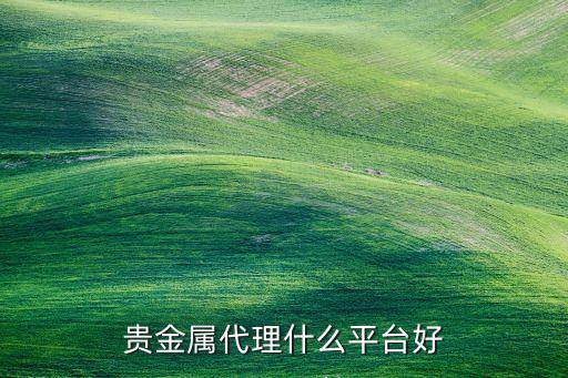 贵金属代理什么平台好