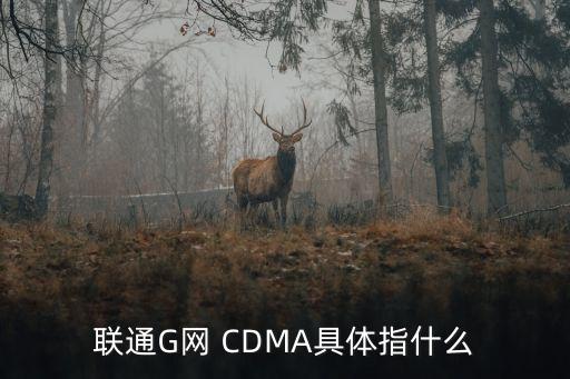 联通G网 CDMA具体指什么