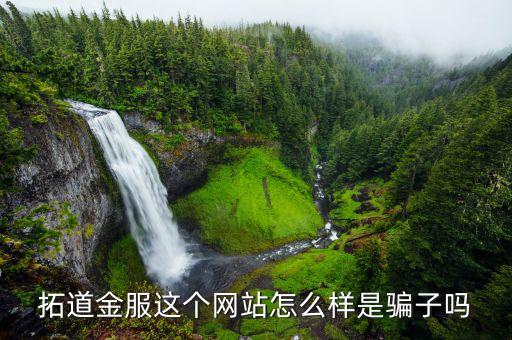 拓道金服，拓道金服贷款50w经理能拿多少提成
