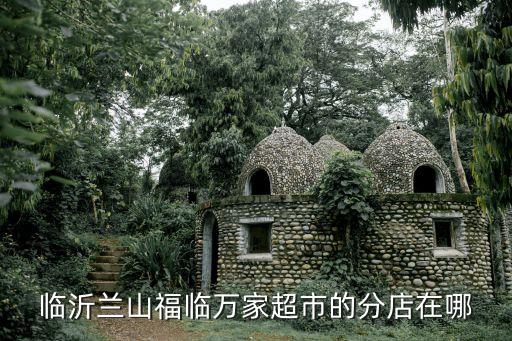 临沂兰山福临万家超市的分店在哪