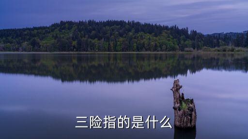 三险指的是什么
