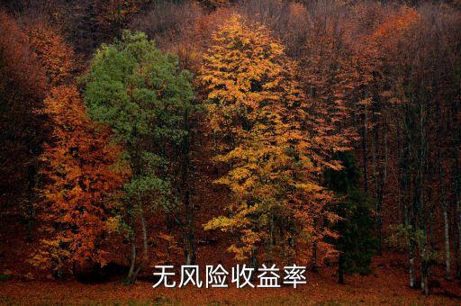 无风险收益率