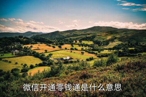 微信开通零钱通是什么意思