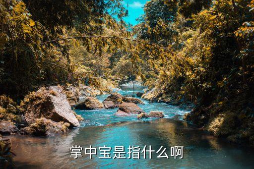 掌中宝是指什么啊