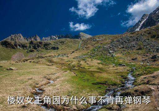 楼奴女主角因为什么事不肯再弹钢琴