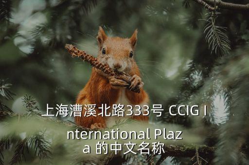 上海漕溪北路333号 CCIG International Plaza 的中文名称