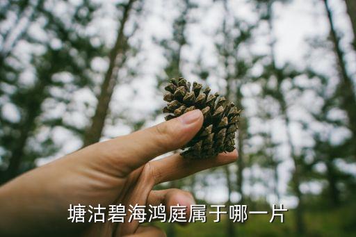 塘沽碧海鸿庭属于哪一片