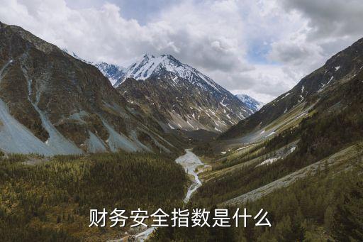 财务安全指数是什么