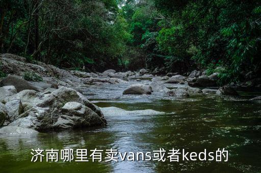 济南哪里有卖vans或者keds的
