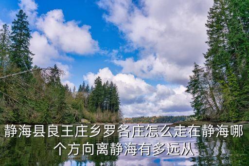 静海县良王庄乡罗各庄怎么走在静海哪个方向离静海有多远从