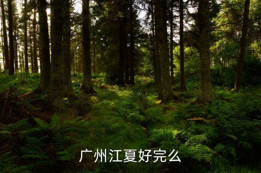 广州江夏好完么