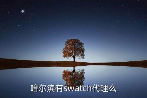 松雷商业，哈尔滨松雷商厦购物
