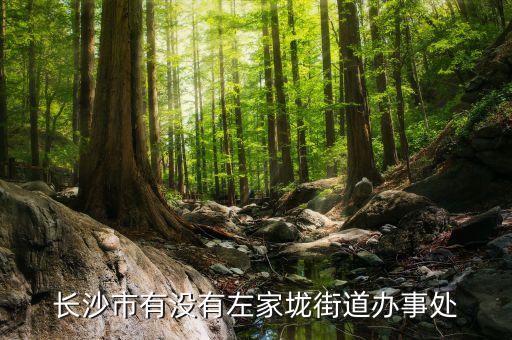 左家垅，岳麓区的左家垅属于哪个路