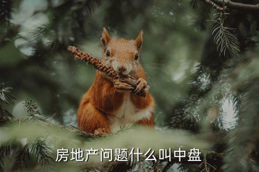 房地产问题什么叫中盘