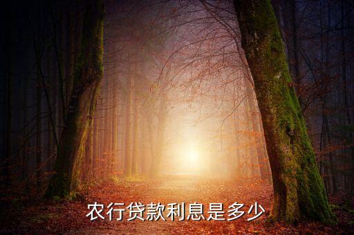 农行贷款利息是多少
