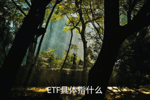 ETF具体指什么