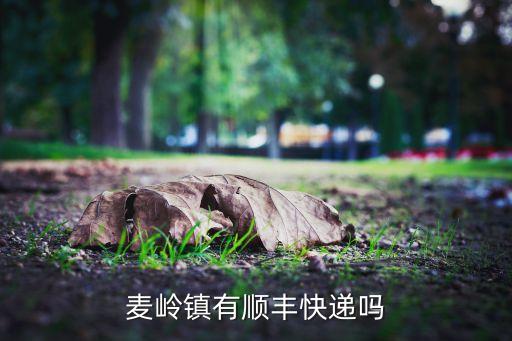 麦岭镇有顺丰快递吗